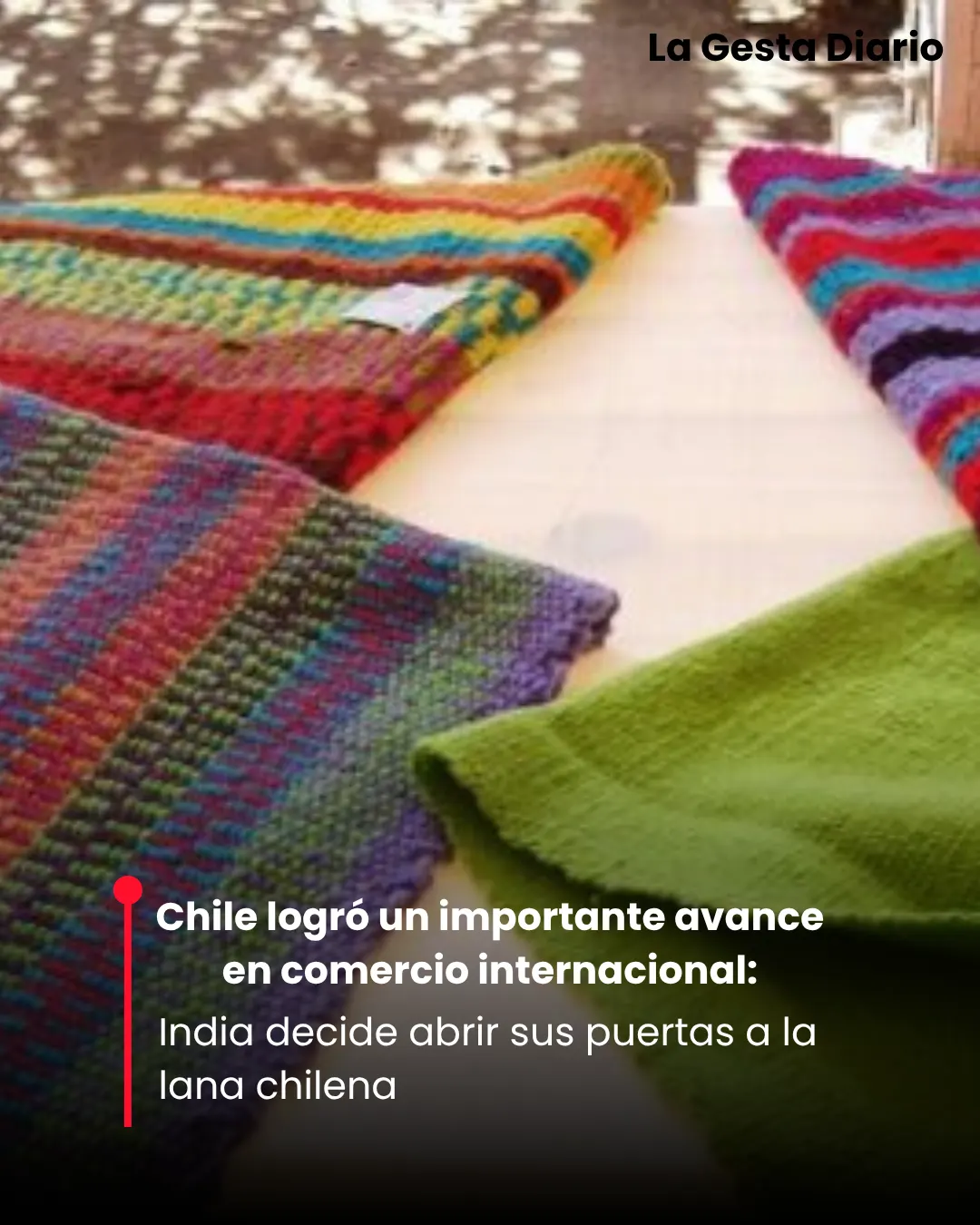 India abre sus puertas a la lana chilena: un impulso clave para la economía chilena