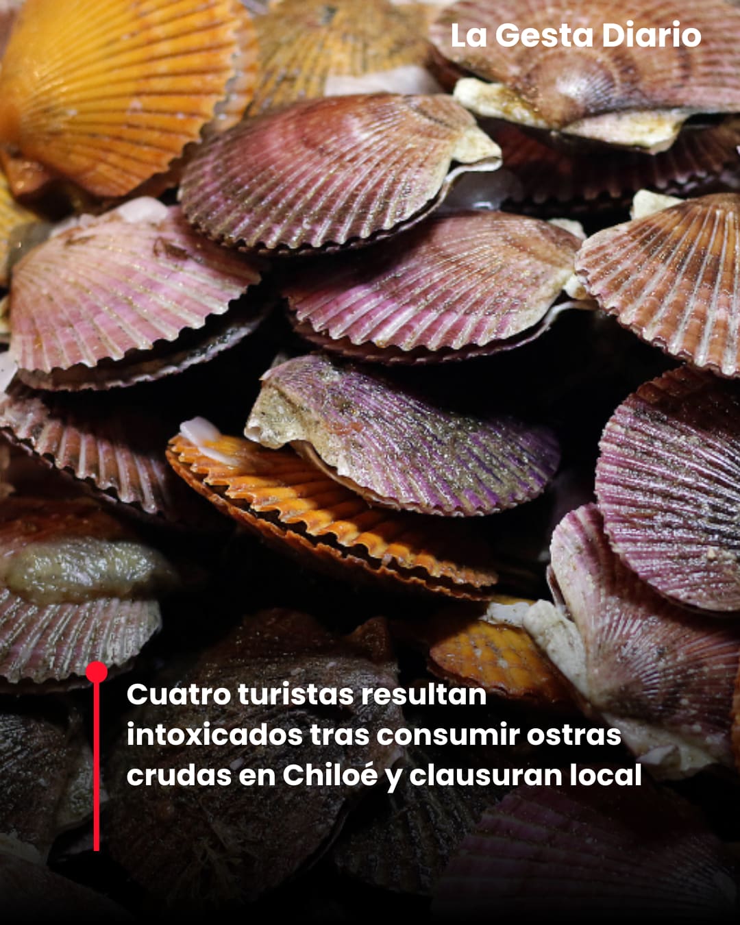 Foto: BioBioChile