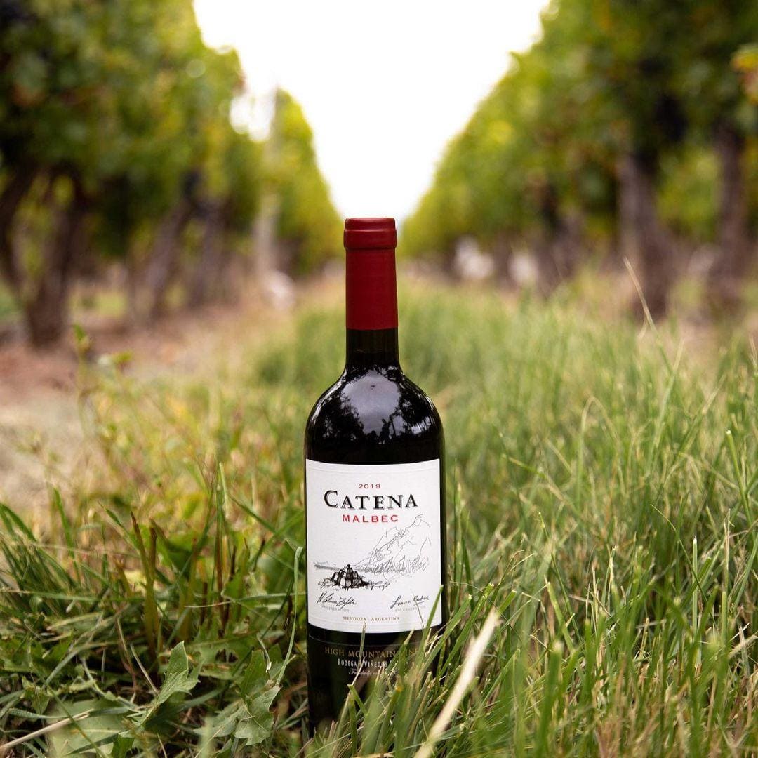 El Malbec se convirtió en uno de los principales embajadores de los vinos argentinos en los mercados internacionales.