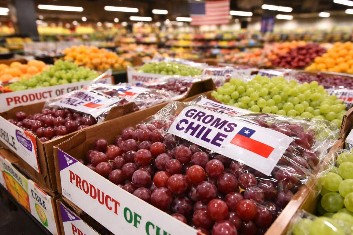 Frutas chilenas como cerezas, uvas y arándanos forman parte de la oferta agroexportadora del país en los mercados internacionales.