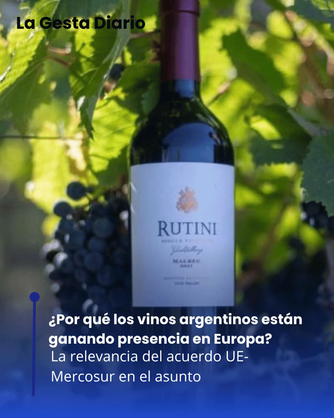 ¿Por qué los vinos argentinos están ganando presencia en Europa?