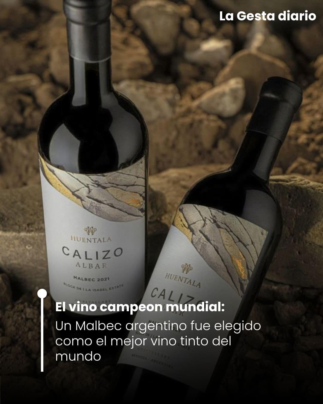 El mejor vino tinto del mundo es argentino: