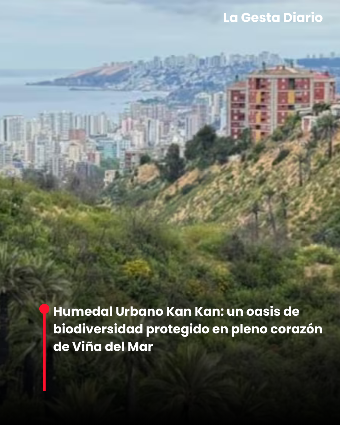 Humedal Urbano Kan Kan: un&hellip;