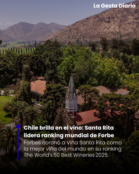 Chile brilla en el vino:&hellip;