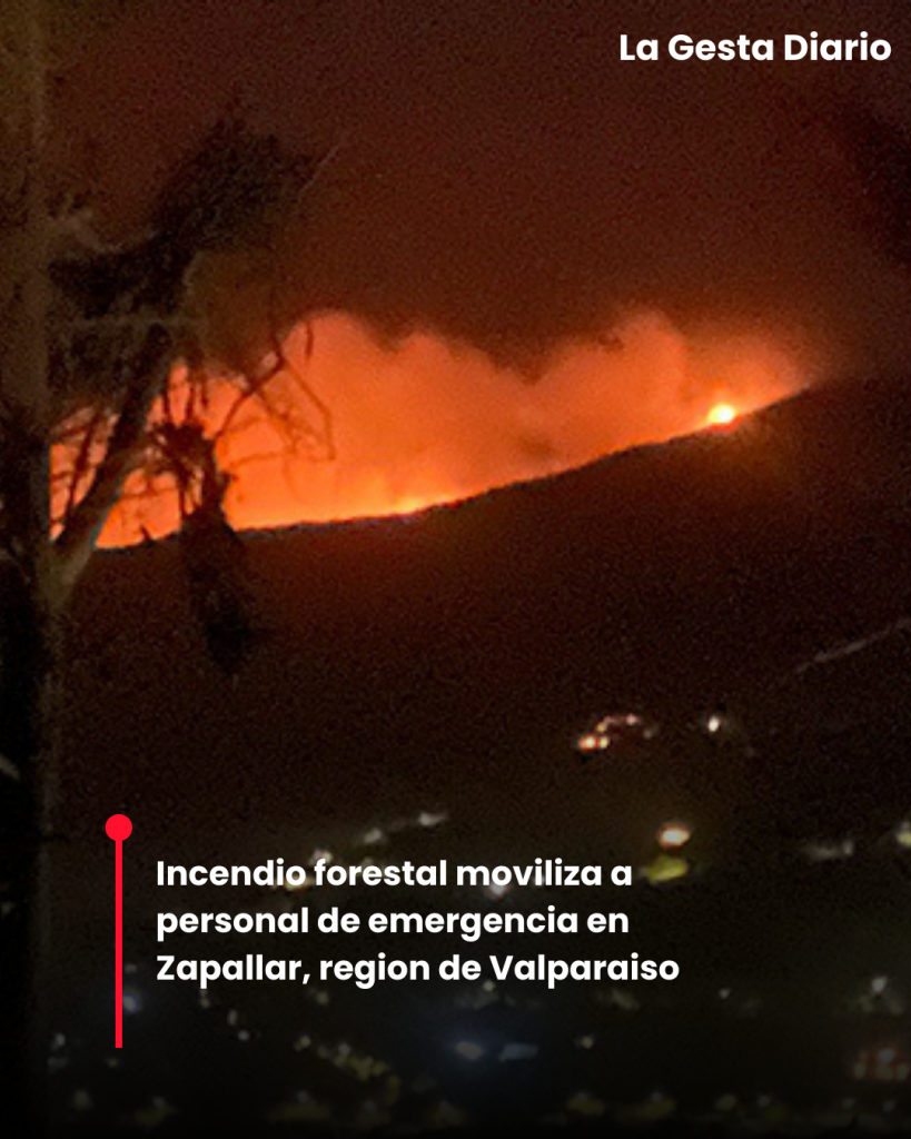 Incendio forestal moviliza a personal de emergencia en Zapallar
