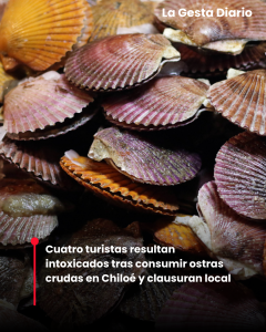 Cuatro turistas resultan intoxicados tras consumir ostras crudas&hellip;