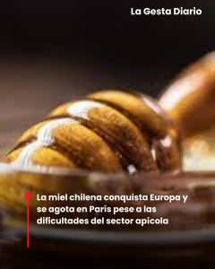 La miel chilena conquista Europa y se agota&hellip;