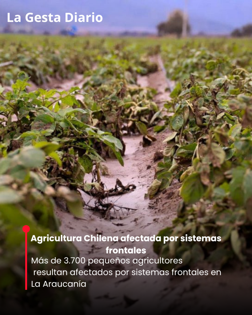 Más de 3.700 pequeños agricultores resultan afectados por&hellip;